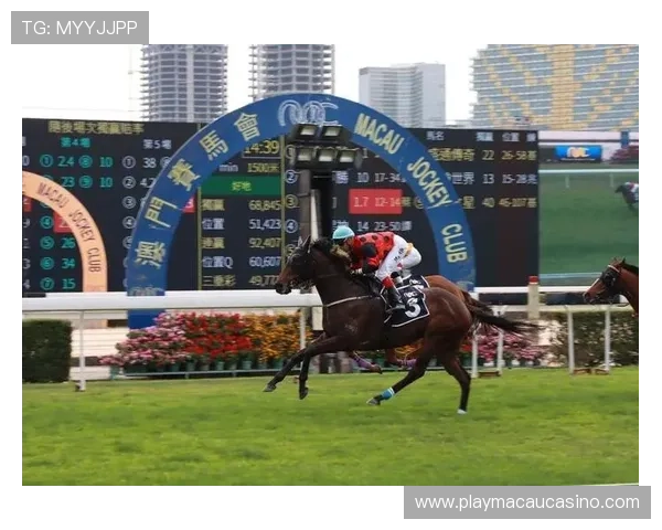 掌握澳门赛马官网直播的最新信息，享受高清赛事直播体验